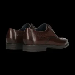 Salamander Brown Lace-Up Business Shoe |E11AUU026