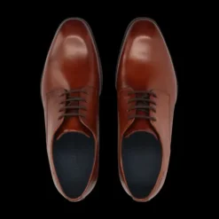 Salamander Cognac Lace-up Business Shoe|E11AUU0163