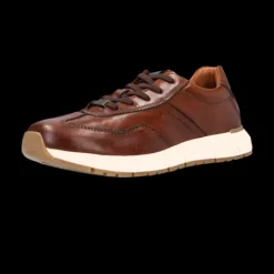 Salamander Cognac Leather Trainer|E31ASA0563