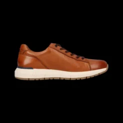 Salamander E31ASA0163- Trainer.