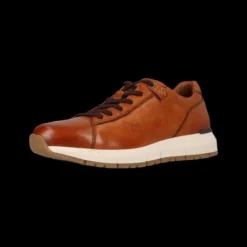 Salamander E31ASA0163- Trainer.