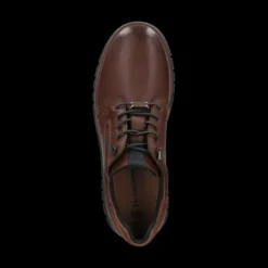 Salamander E31AV00160- Trainer.