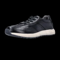 Salamander Navy Leather Trainer|E31ASA0541-