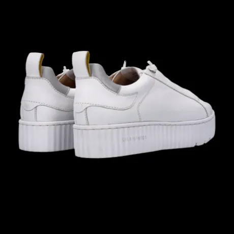 Salamander White Leather Platform Trainer|F31ARP0320