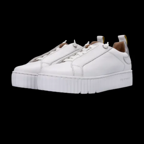 Salamander White Leather Platform Trainer|F31ARP0320