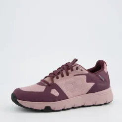 TenHaag 0006038- Trainer.