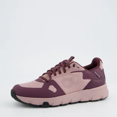 TenHaag 0006038- Trainer.