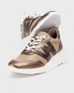 Wonders E6760TA-Trainer.